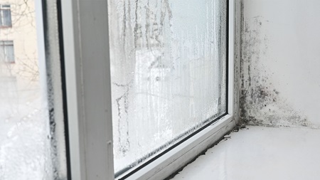 Pared y ventana con humedades por condensación